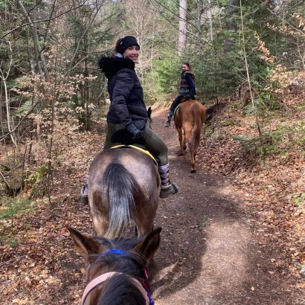 Les Ecuries De La Garde