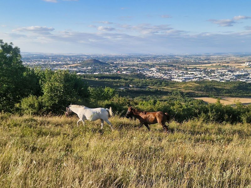Les Ecuries De La Garde - photo 2