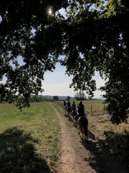 Les Écuries de la Vallée - photo 2