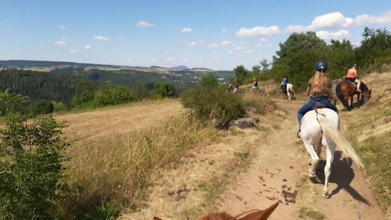 Galopins du Sancy - Domaine équestre de Berthaire - photo 1