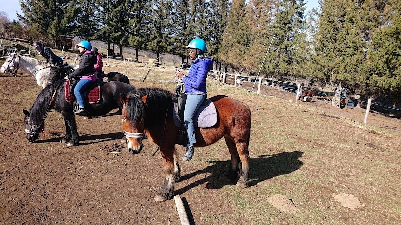 Galopins du Sancy - Domaine équestre de Berthaire - photo 2