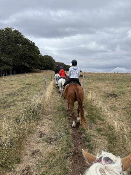 Galopins du Sancy - Domaine équestre de Berthaire - photo 3