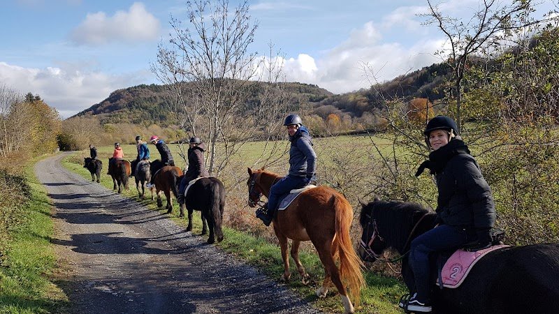 Equi-Terre Domaine Equestre de Berthaire - photo 1