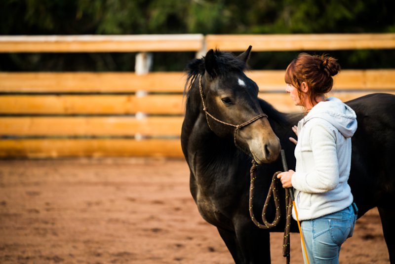 Equi-Terre Domaine Equestre de Berthaire - photo 2