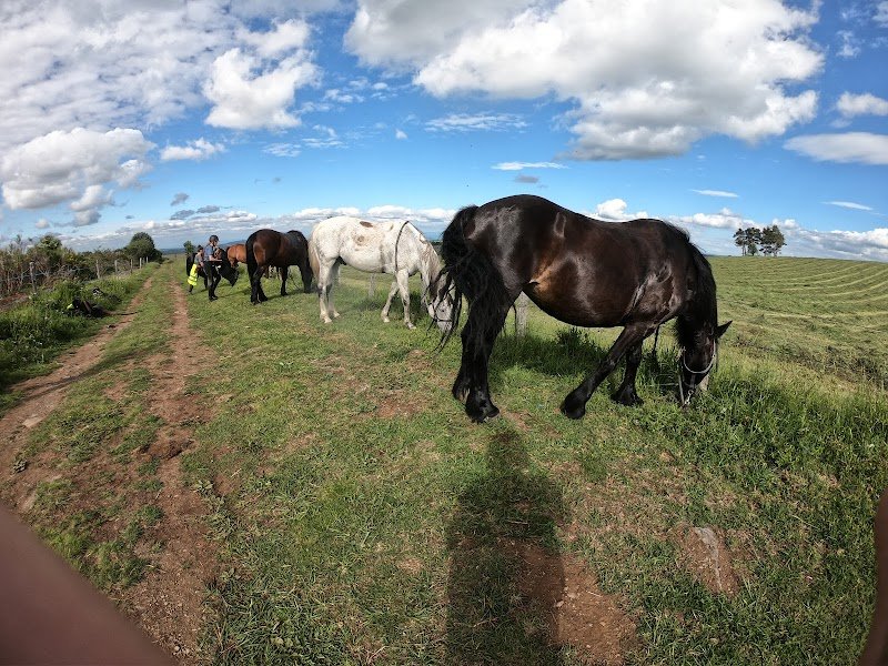 Equi-Terre Domaine Equestre de Berthaire - photo 3