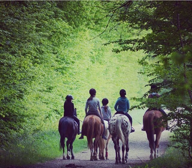 Ecurie Sainte Marie - photo 2