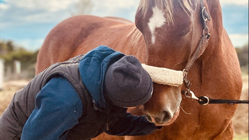 Écurie Les Crins de Pauline - photo 1
