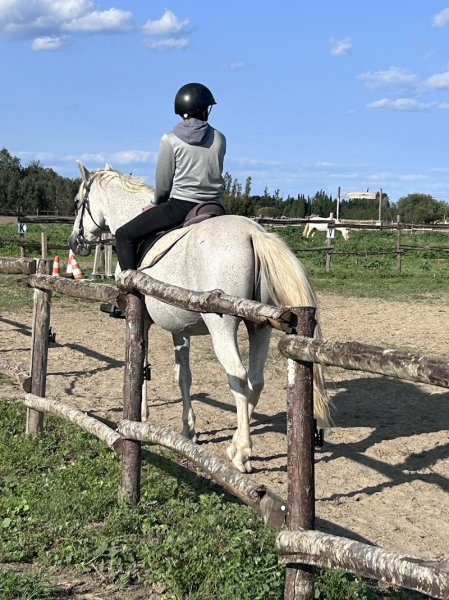 Écurie Les Crins de Pauline - photo 2