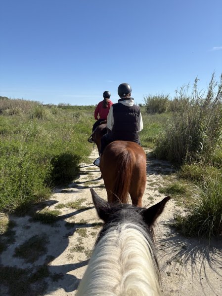 Écurie Les Crins de Pauline - photo 3