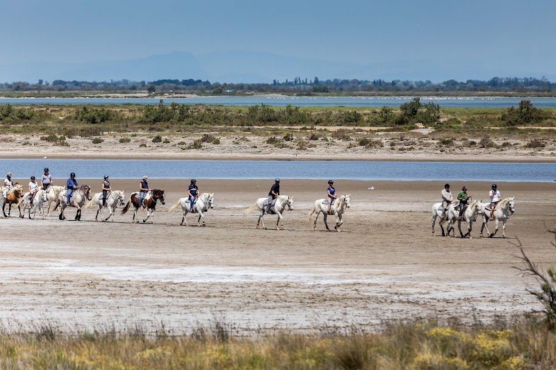 Les Ecuries de l'Auberge cavalière - photo 2