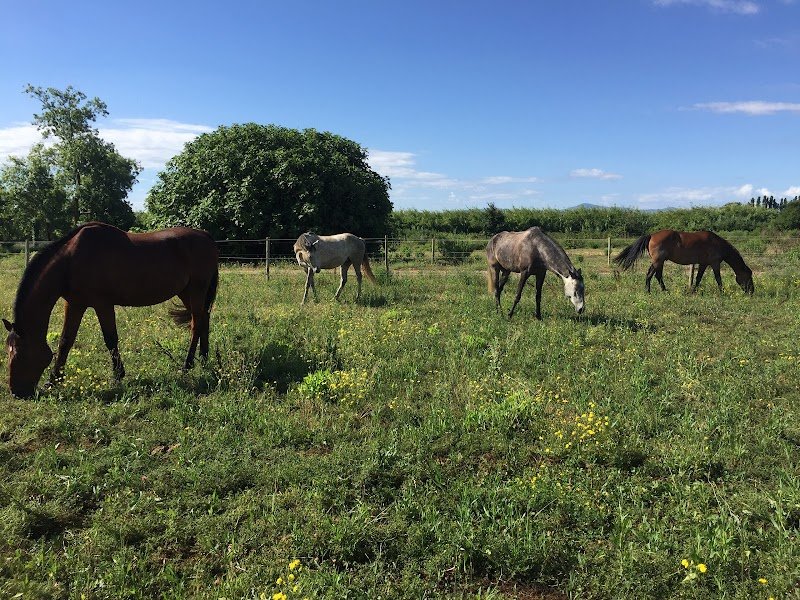 Ecuries de Valentées - photo 2