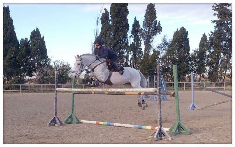 Ecuries de Valentées - photo 3