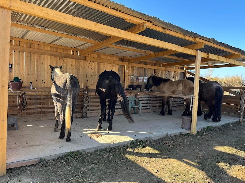 Écurie La Caleche Philadelphia - photo 1