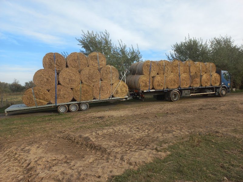 Écurie La Caleche Philadelphia - photo 3