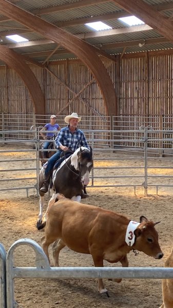Écurie Domaine de la Fleurière : Pension, cours, stages - photo 2