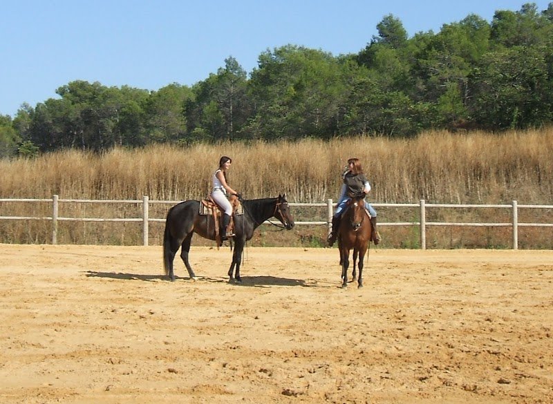 Écurie Domaine de la Fleurière : Pension, cours, stages - photo 3