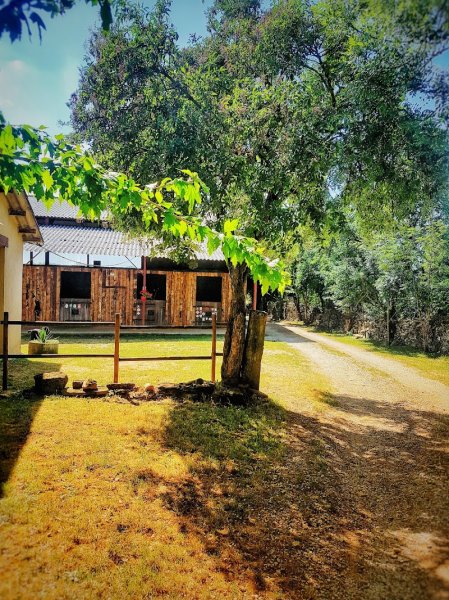 Ecuries de Laramière - photo 3