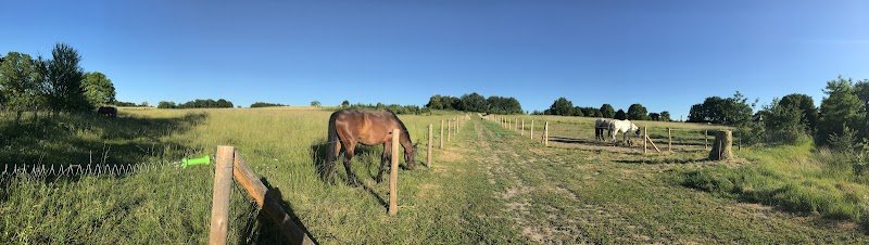 Ecurie Saint Hippolyte