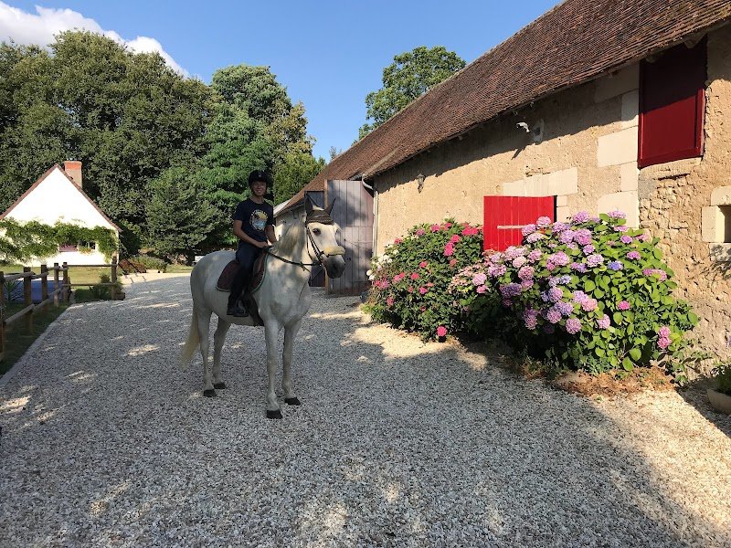 Ecurie Saint Hippolyte - photo 3