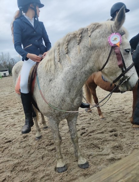 Les Ecuries De Logerie - photo 2