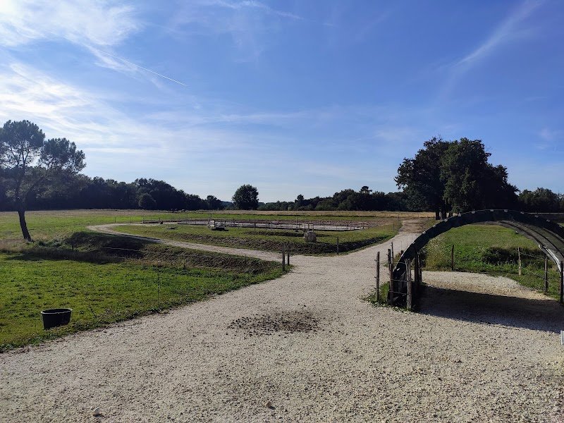La Doudou pension (chevaux) - photo 2