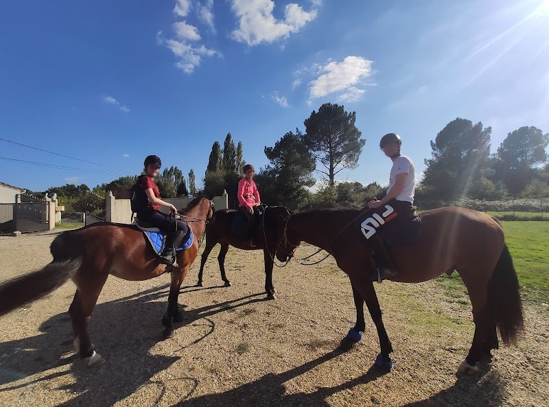 La Doudou pension (chevaux) - photo 3