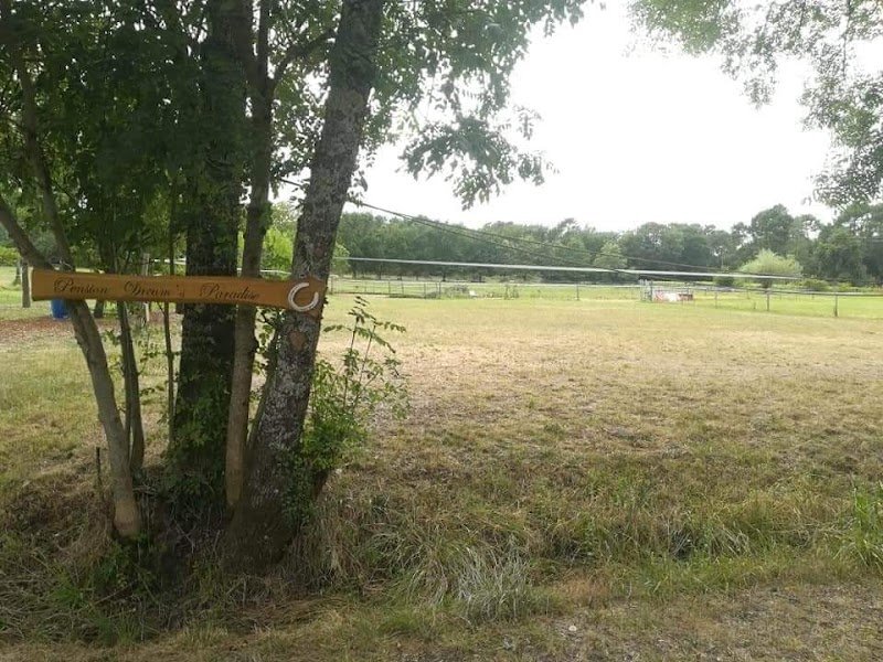 Pension de chevaux Dream's Paradise - photo 1