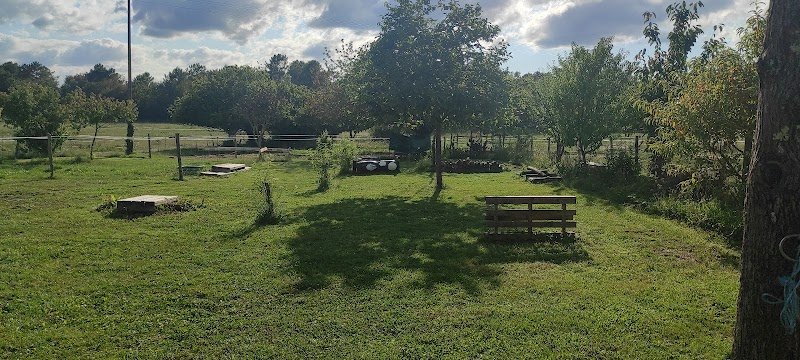 Pension de chevaux Dream's Paradise - photo 3