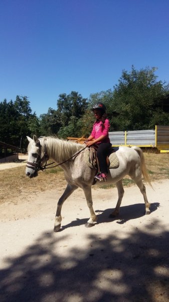 Centre Cheval Poney - photo 1