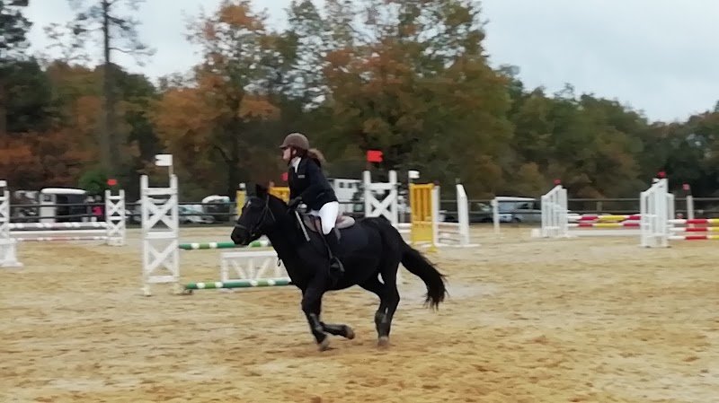 Centre Cheval Poney - photo 2