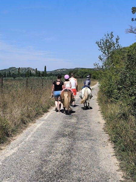 Ecurie Laurie école d’attelage Foulon Adrien - photo 1