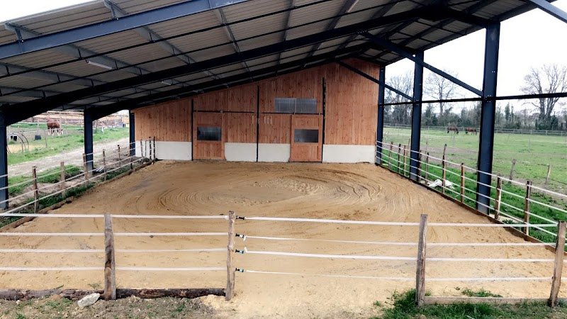 Ecurie LR (Pension Chevaux) - photo 2