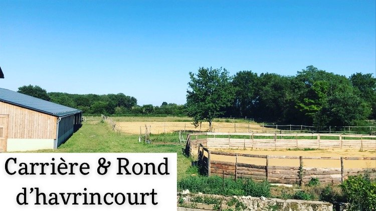 Ecurie LR (Pension Chevaux) - photo 3