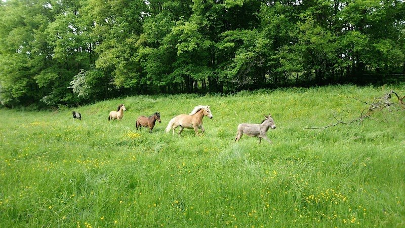 Les Ecuries d'Augias