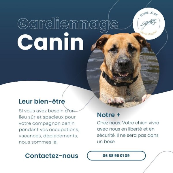 Écurie Lélizé - photo 2