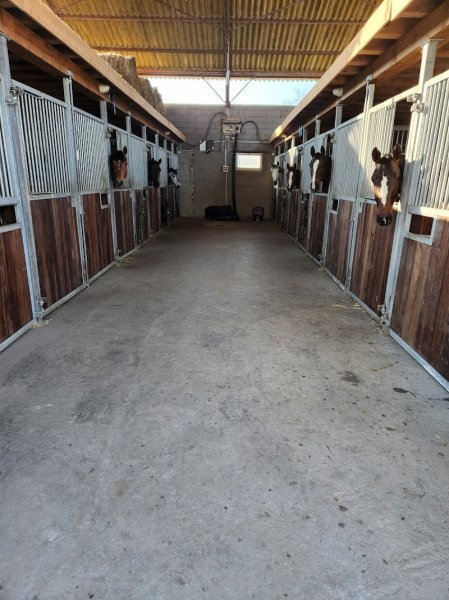 Écurie Lélizé - photo 3