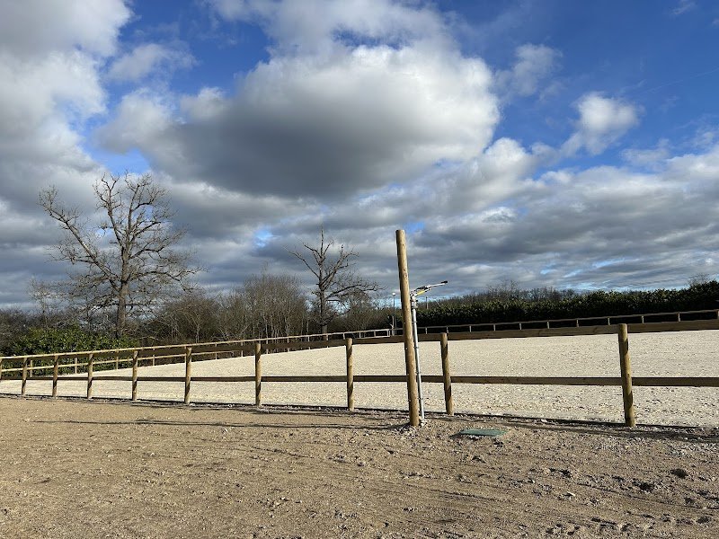 ECURIE HARAS DES PÉRICHONS - Pensions pour chevaux - Montbrison / Roanne / Feurs - photo 3