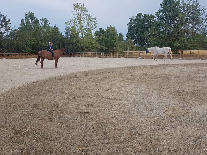 Ecurie de Faudade - photo 3