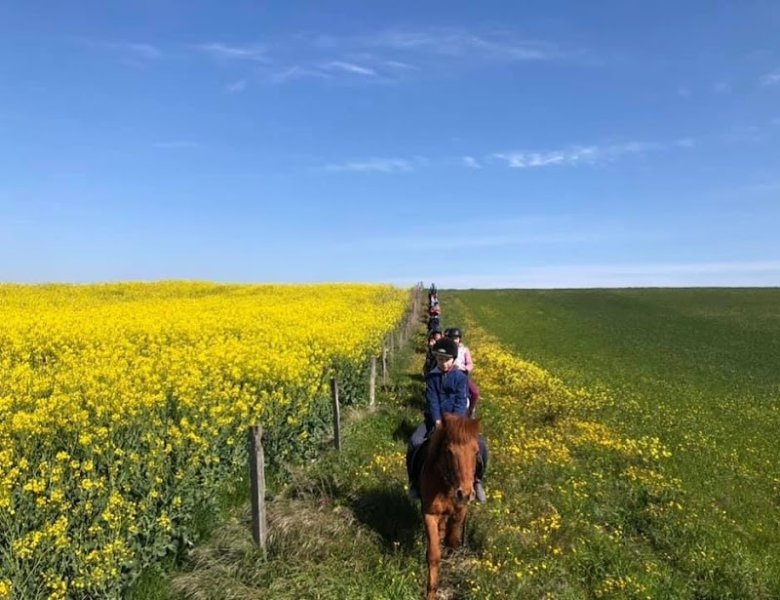 Domaine Equestre Des Pialoux