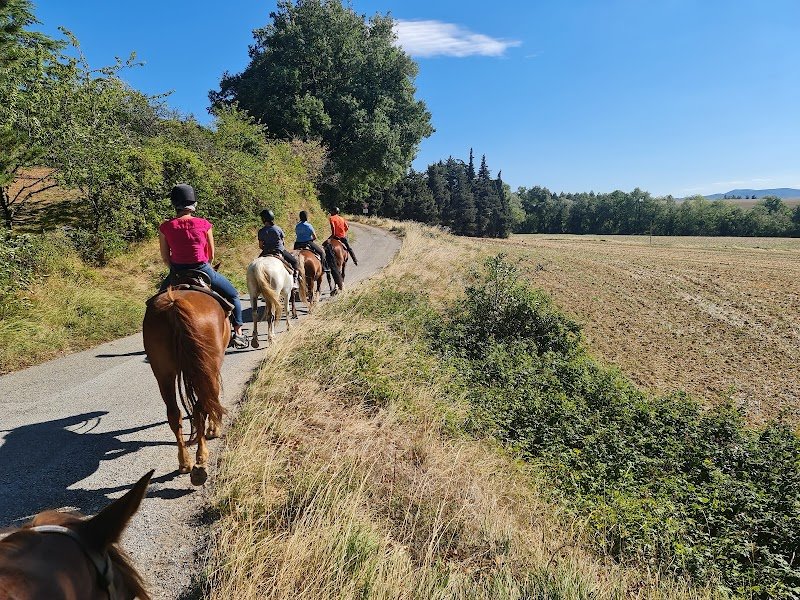 Domaine Equestre Des Pialoux - photo 2