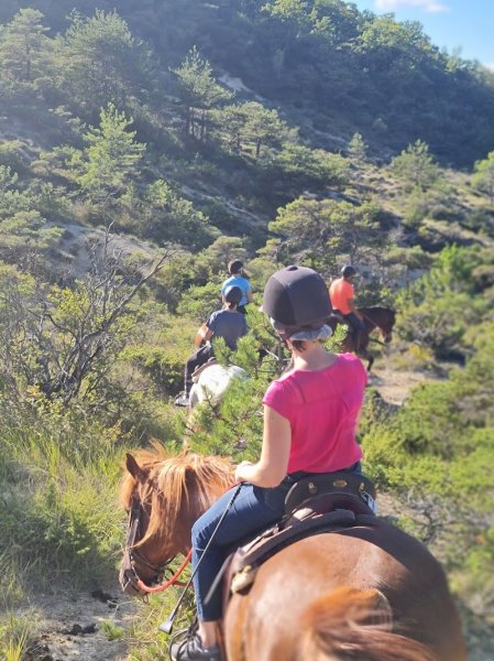 Domaine Equestre Des Pialoux - photo 3