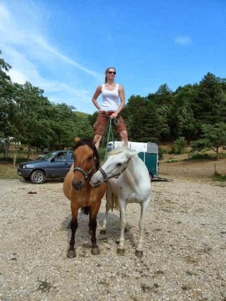 Haras des guérets - photo 2