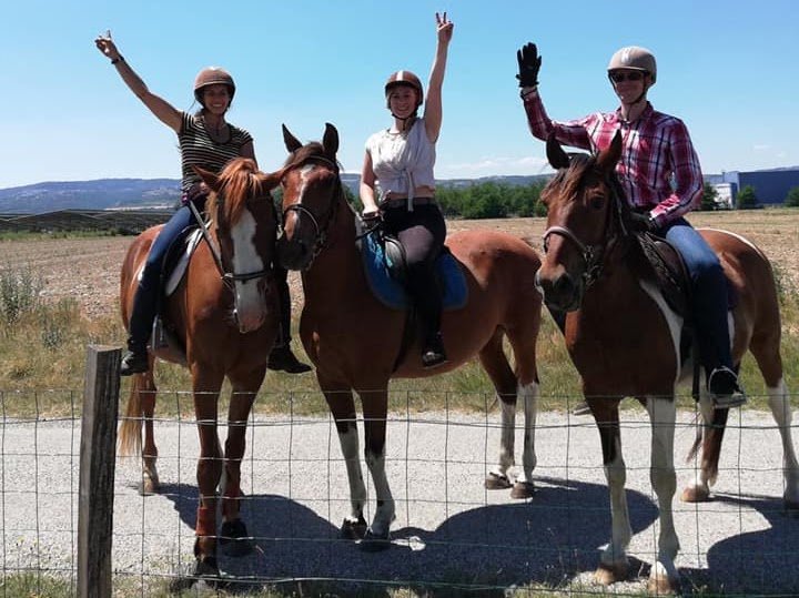 La Ferme équestre des Pêches - photo 1