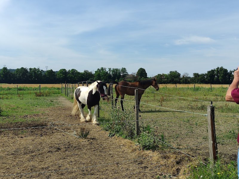 La Ferme équestre des Pêches - photo 2