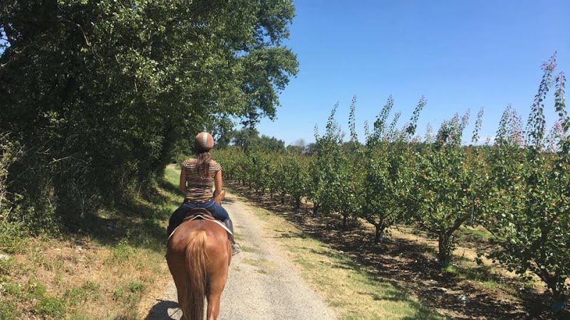 La Ferme équestre des Pêches - photo 3