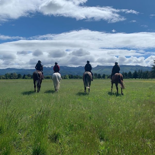 Ecurie Vincent Gabriel - photo 1