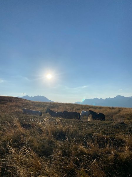 Centre Equestre De Crest - photo 1