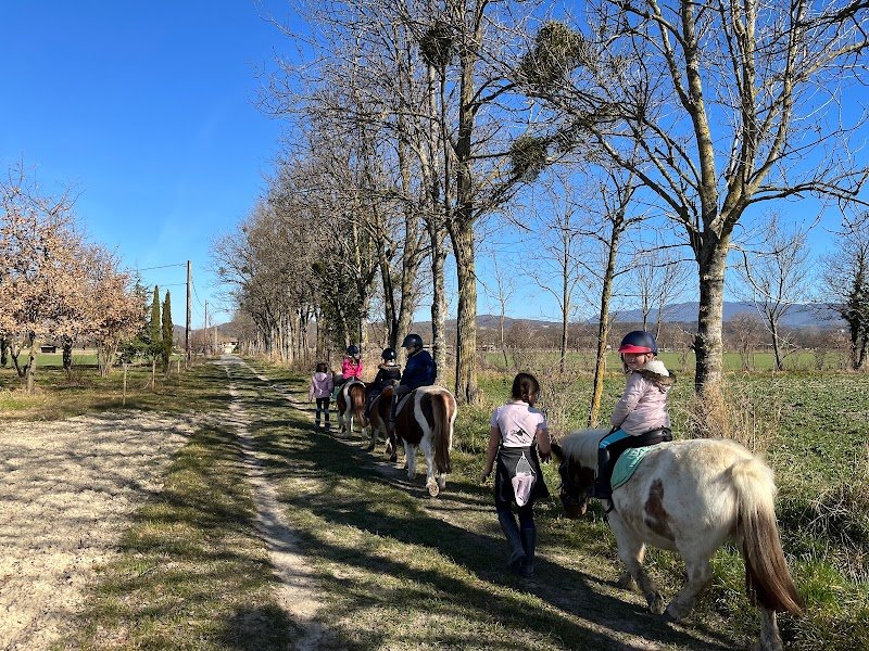 Centre Équestre - L'Ecrin D'Illusion - photo 1