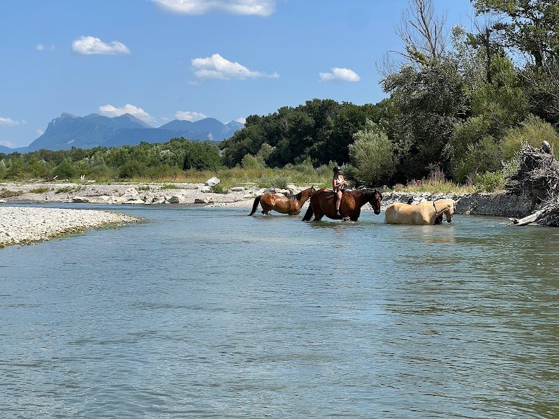 Centre Équestre - L'Ecrin D'Illusion - photo 3