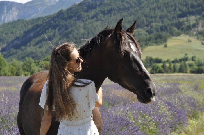 Écuries les chevaux du Diois - photo 2